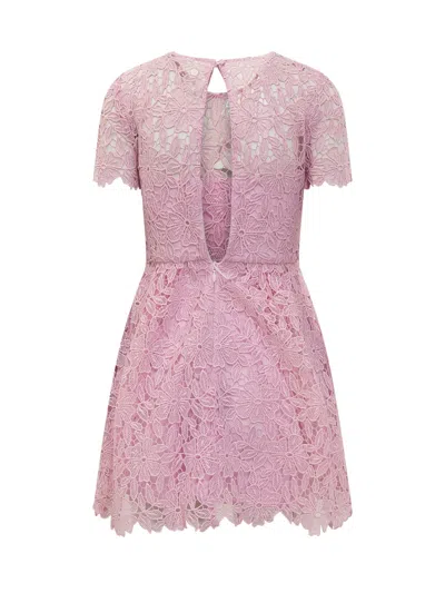 Shop Self-portrait Guipiere Lace Mini Dress In Pink