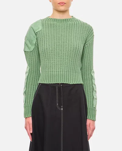 Shop Max Mara Abisso Sweater In Green