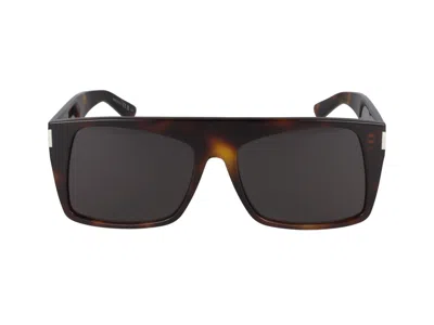 Shop Saint Laurent Sunglasses In Havana Havana Black