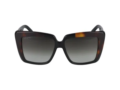 Shop Ferragamo Salvatore  Sunglasses In Black/tortoise