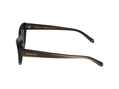 Shop Ferragamo Salvatore  Sunglasses In Striped Brown/black