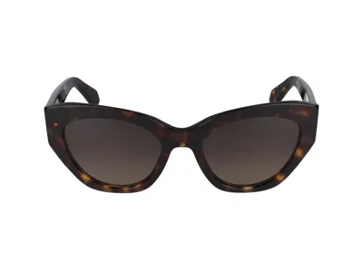 Shop Ferragamo Salvatore  Sunglasses In Dark Tortoise