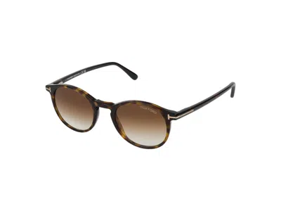 Shop Tom Ford Sunglasses In Dark Havana/brown Grad