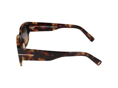 Shop Tom Ford Sunglasses In Havana Colored/smoke Grad