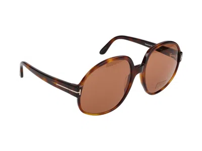 Shop Tom Ford Sunglasses In Dark Havana/brown