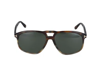 Shop Tom Ford Sunglasses In Havana/green