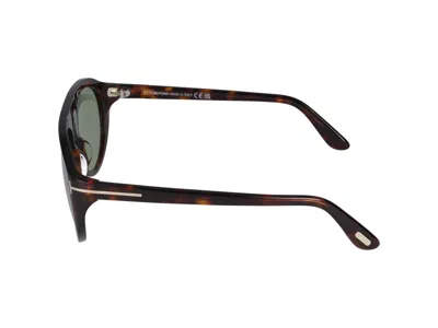 Shop Tom Ford Sunglasses In Red Havana/green
