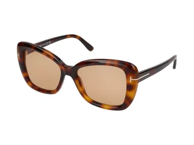 Shop Tom Ford Sunglasses In Havana Blonde/brown
