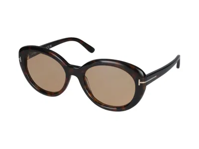 Shop Tom Ford Sunglasses In Dark Havana/brown