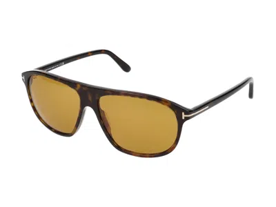 Shop Tom Ford Sunglasses In Dark Havana/brown