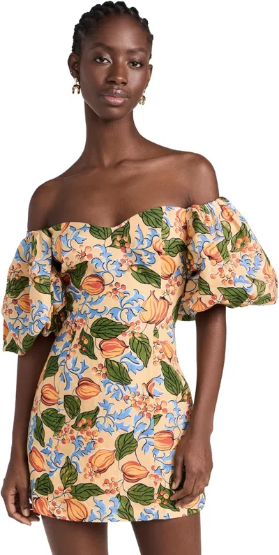 Shop Rhode Women's 100% Linen Mini Dali Dress, Capri Orchard, Orange, Floral Mini In Multicolor