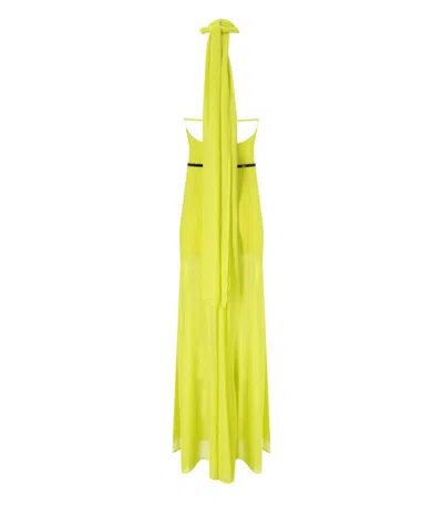 Shop Elisabetta Franchi Red Carpet Cedar Dress In Yellow