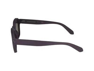 Police Sunglasses