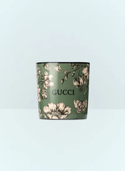Shop Gucci Flora Sketch Candle In Green