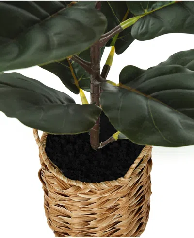 Monarch Specialties 28" Indoor Artificial Floor Fiddle Tree With Decorative Beige Woven Basket In Green