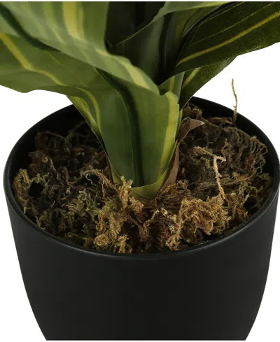 Shop Monarch Specialties 17" Indoor Artificial Dracaena Plant With Decorative Black Pot In Green
