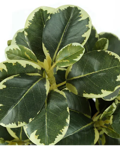 Monarch Specialties 14" Indoor Artificial Ficus Plants With Decorative Black Pots, Set Of 2 In Green