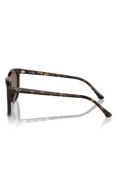 Ray Ban 53mm Polarized Square Sunglasses In Havana