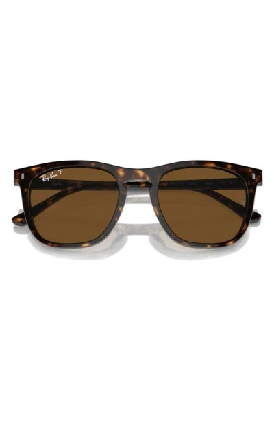 Ray Ban 53mm Polarized Square Sunglasses In Havana