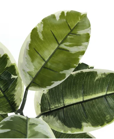 Monarch Specialties 52" Indoor Artificial Floor Rubber Tree With Black Pot In Light Green