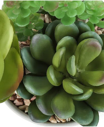Monarch Specialties 7" Indoor Artificial Succulent Plants With Decorative White Ceramic Pots, Set Of 2 In Green