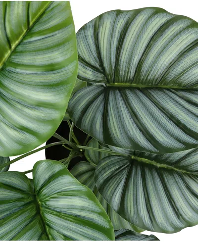 Monarch Specialties 24" Indoor Artificial Calathea Plant With Decorative Black Pot In Green