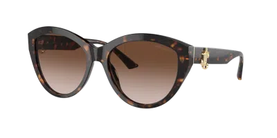 Jimmy Choo Jc 5007 500213 55mm Womens Phantos Sunglasses In Gradient Brown