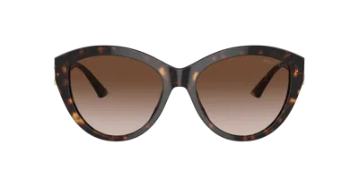 Jimmy Choo Jc 5007 500213 55mm Womens Phantos Sunglasses In Gradient Brown