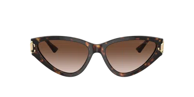 Jimmy Choo Brown Gradient Cat Eye Ladies Sunglasses Jc5019 500213 55 In Multi