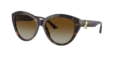Jimmy Choo Woman Sunglass Jc5007 In Polarized Gradient Brown