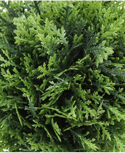 Monarch Specialties 5" Indoor Artificial Grass Plants With Decorative Grey Pots, Set Of 3 In Green
