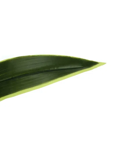 Monarch Specialties 47" Indoor Artificial Floor Dracaena Tree With Black Pot In Green