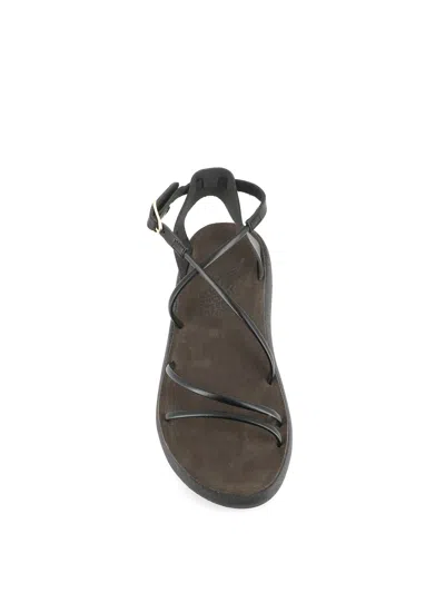 Shop Ancient Greek Sandals Sandals Anastasia In Black