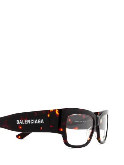 Shop Balenciaga Eyeglasses In Havana