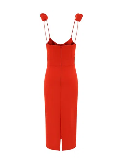 Shop Magda Butrym Dresses In Red