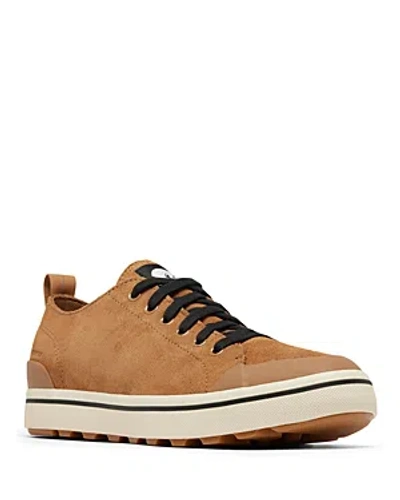 Shop Sorel Men's Metro Ii Low Top Sneakers In Elk/chalk