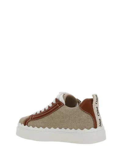 Shop Chloé Sneakers In White/brown 1