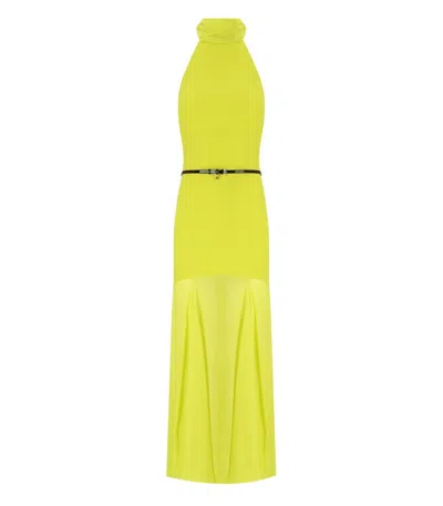 Shop Elisabetta Franchi Red Carpet Cedar Dress In Yellow