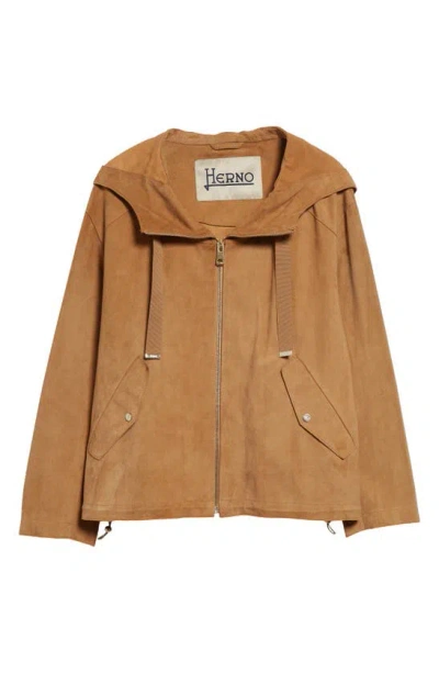 Shop Herno Hooded Suede Jacket In 2000 Camel