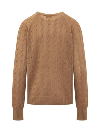 Shop Etro Sweater With Pegasus In Brown