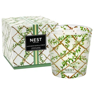Shop Nest Santorini Olive And Citron Candle In 43.7 oz (luxury)