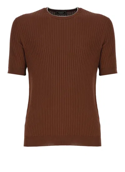 Shop Peserico T-shirts And Polos Brown