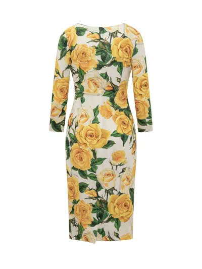 Shop Dolce & Gabbana Yellow Roses Dress