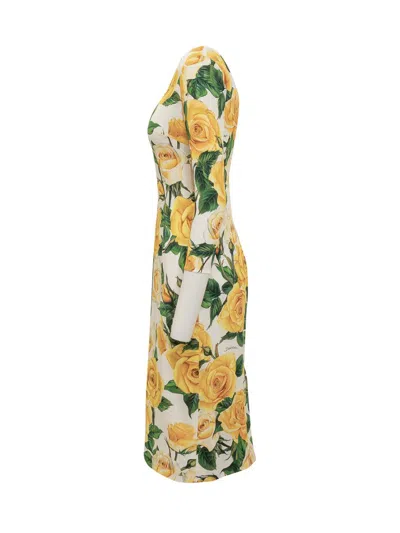 Shop Dolce & Gabbana Yellow Roses Dress