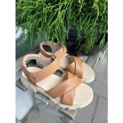 Shop Paul Green 'jaden' Sandals In Green