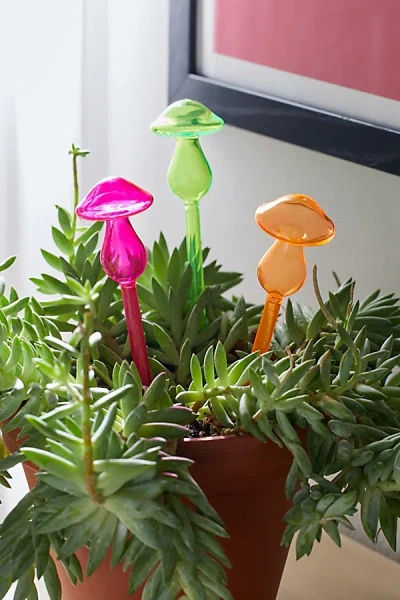 Npw Mushroom Plant Marker Set In Assorted At Urban Outfitters