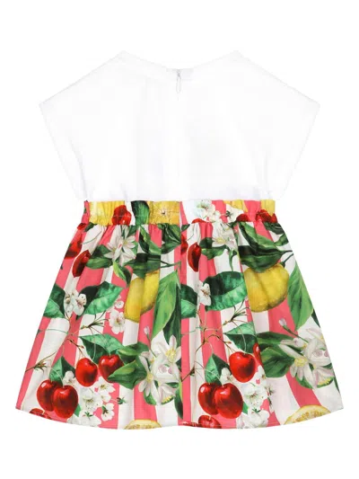 Shop Dolce & Gabbana Dresses Multicolour