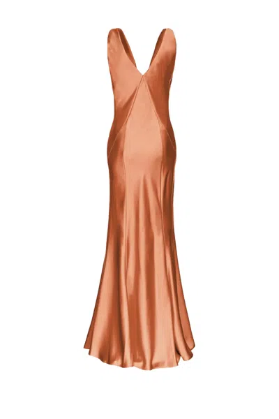 Shop Pinko Dress In Marrone Fard Rosiccio