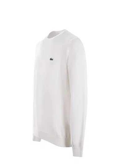 Shop Lacoste Sweater In Panna