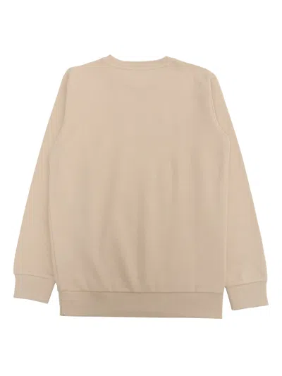 Shop Balmain Beige Sweater In Cream